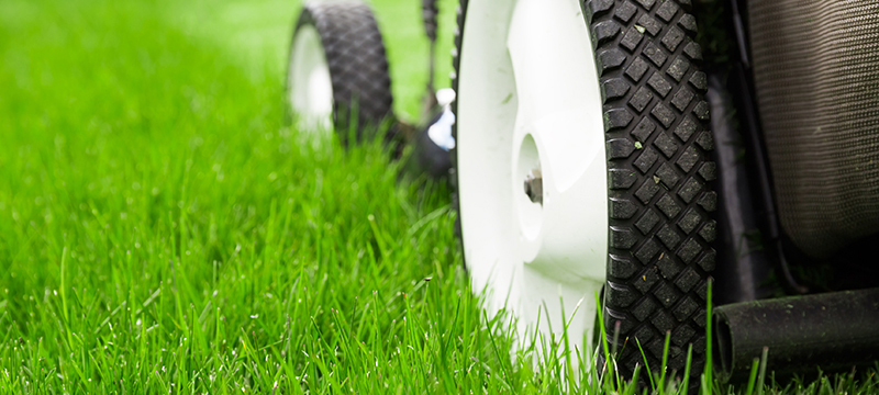 A lawn mower is used to cut a grass lawn