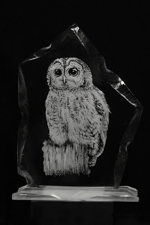 Alan Sinclair, Glass Engraving Owl