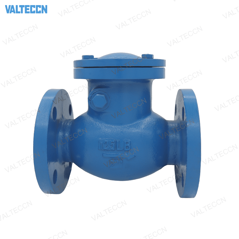 swing check valve